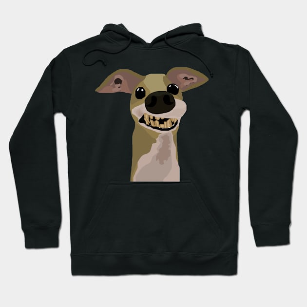 Goofy cute looking dog Hoodie by Mushcan